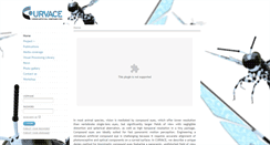 Desktop Screenshot of curvace.org